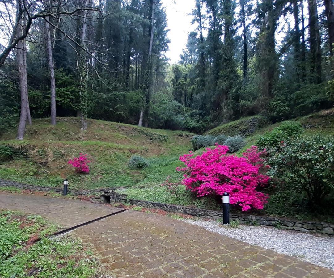Il Bosco Di Campo Marzano Rooms & Apartments Borzonasca Extérieur photo