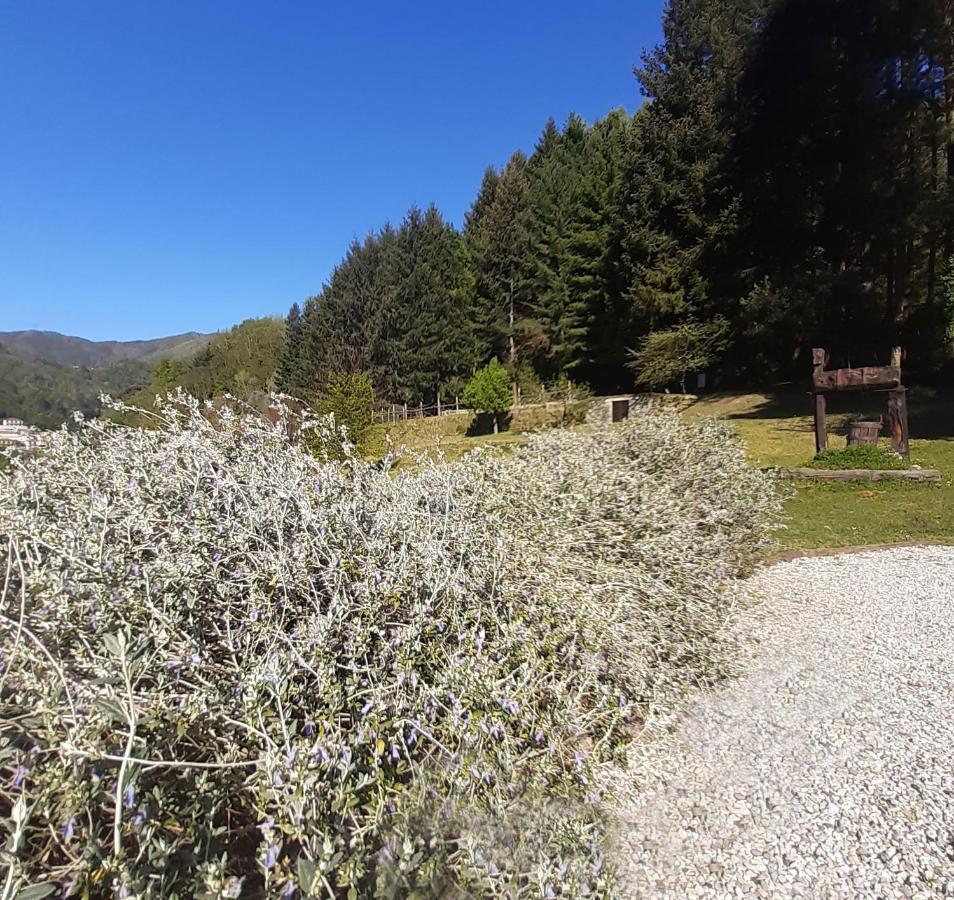 Il Bosco Di Campo Marzano Rooms & Apartments Borzonasca Extérieur photo