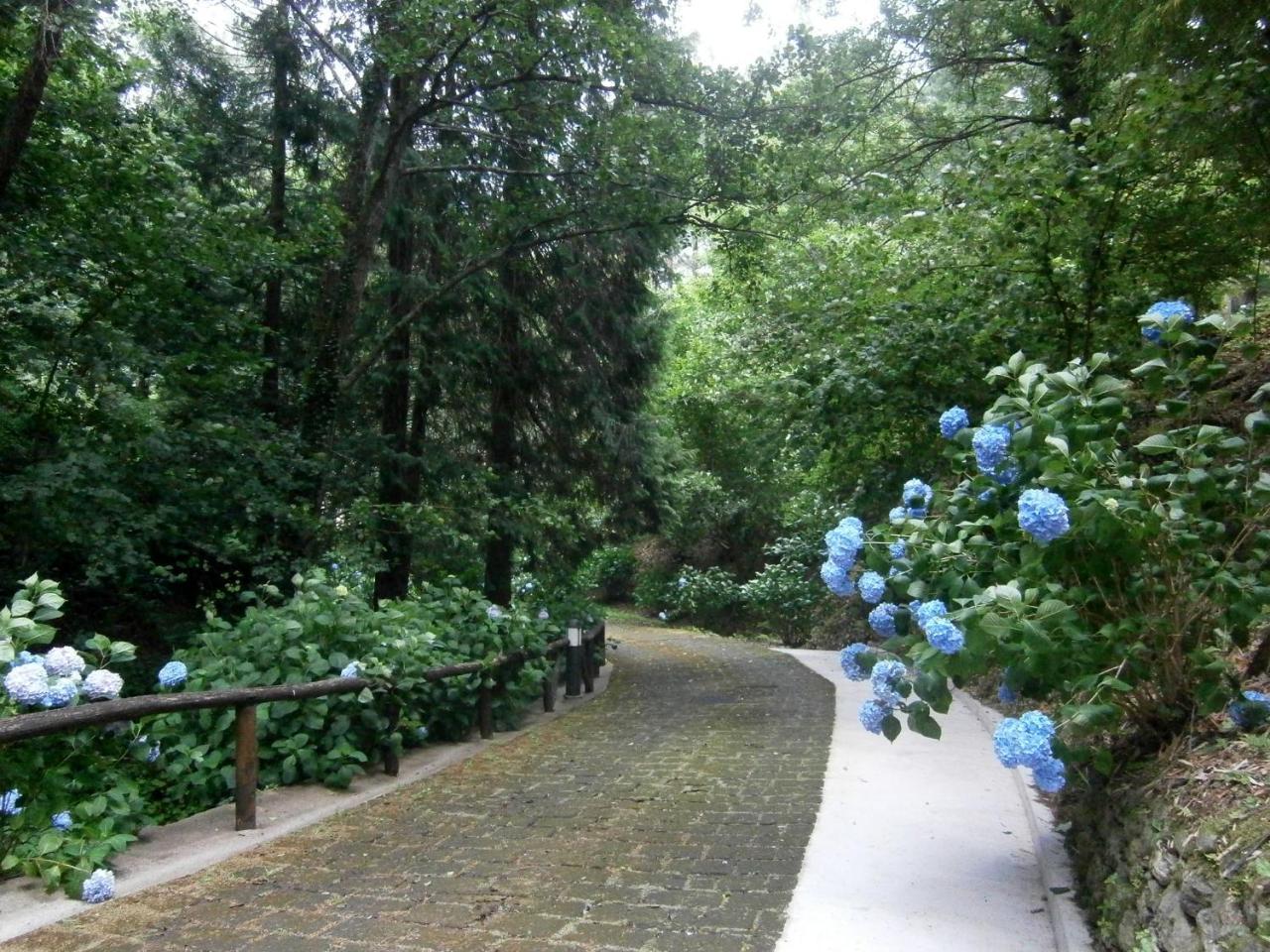 Il Bosco Di Campo Marzano Rooms & Apartments Borzonasca Extérieur photo